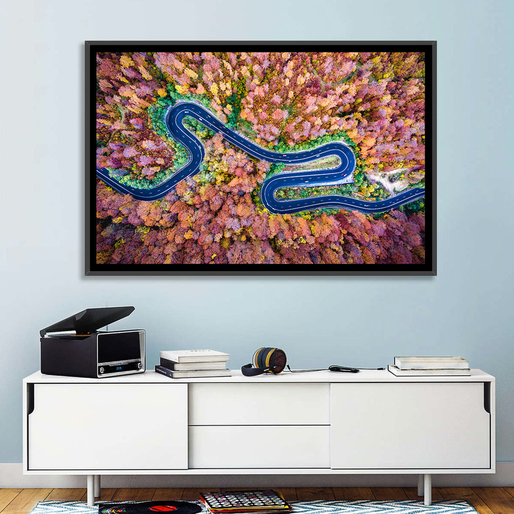 Aerial Winding Road Wall Art