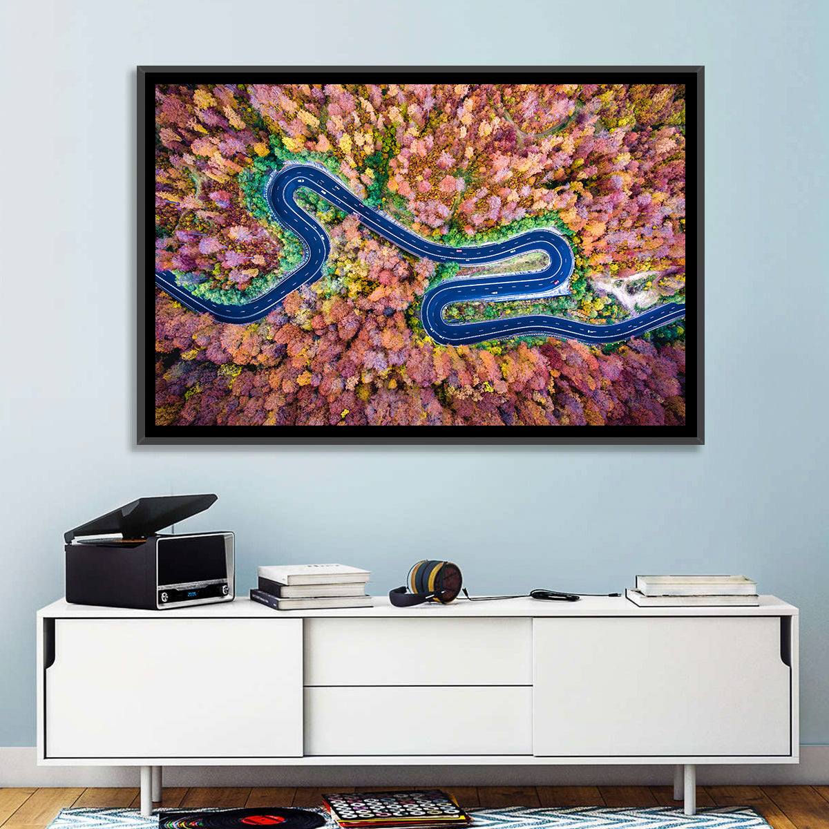 Aerial Winding Road Wall Art