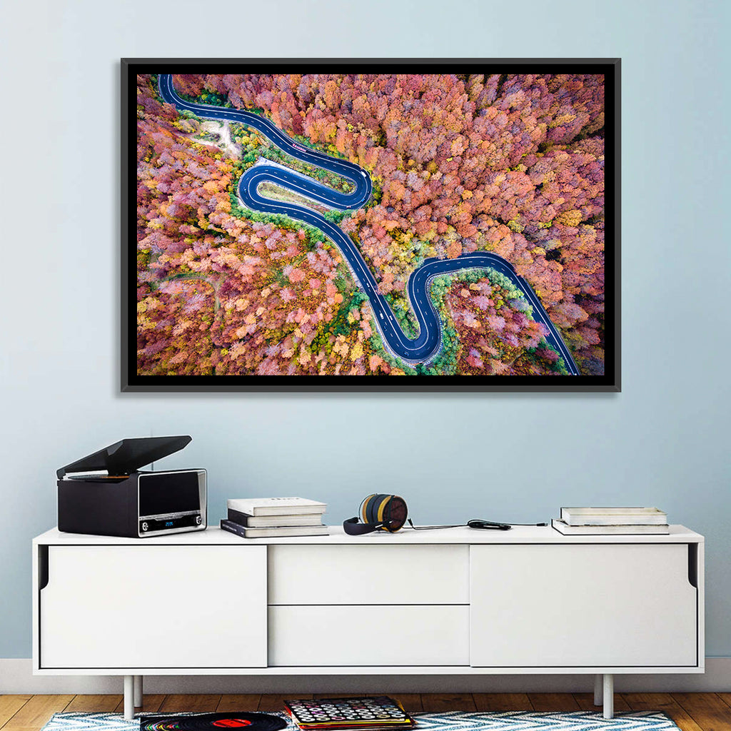 Serpentine Autumn Road Wall Art