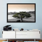 Bonsai Pine in Japanese Garden Wall Art
