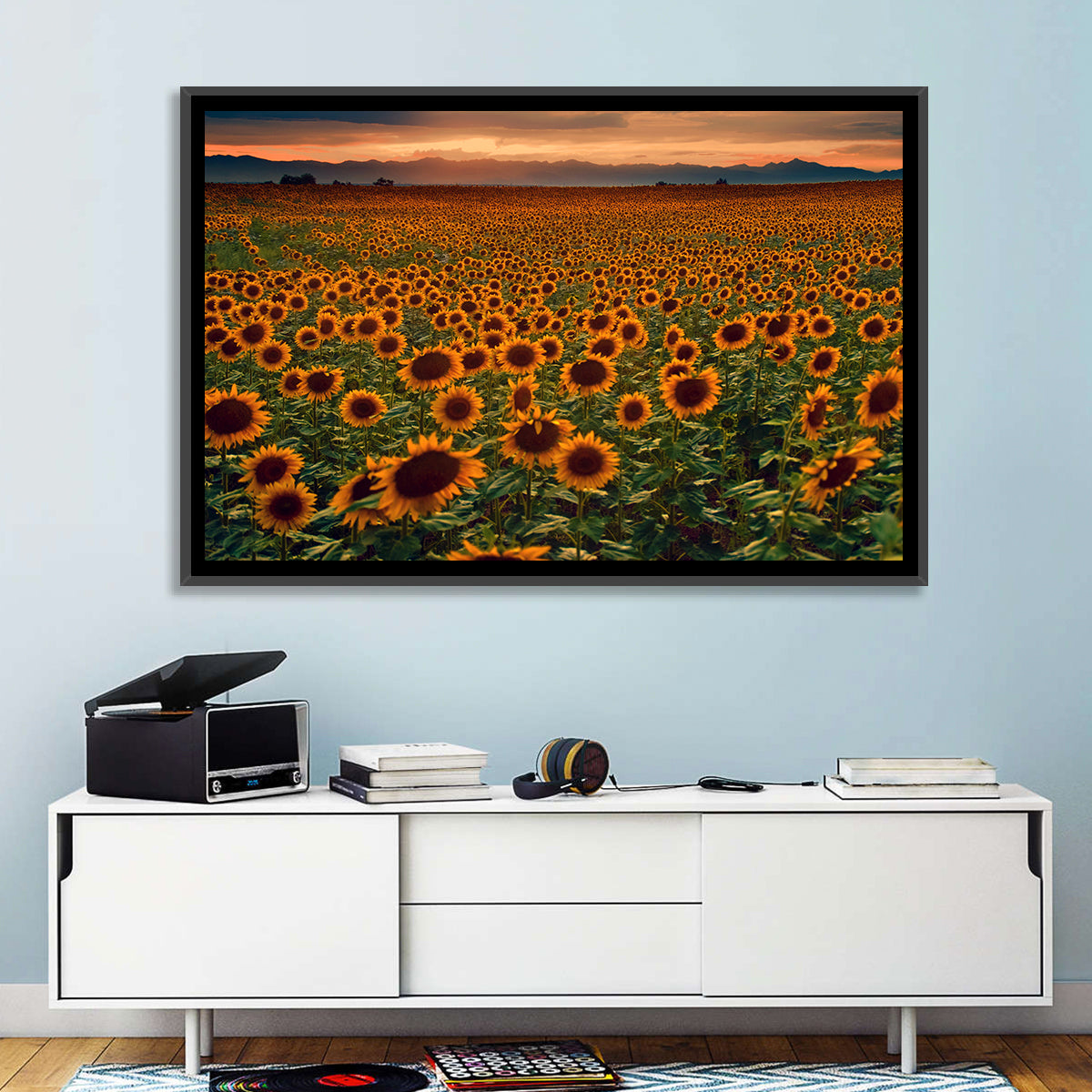 Colorado Sunflower Field at Sunset Wall Art in a room, landscape