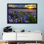 Texas Bluebonnet Field at Sunset Wall Art