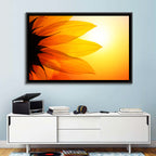 Backlit Sunflower Petals Wall Art