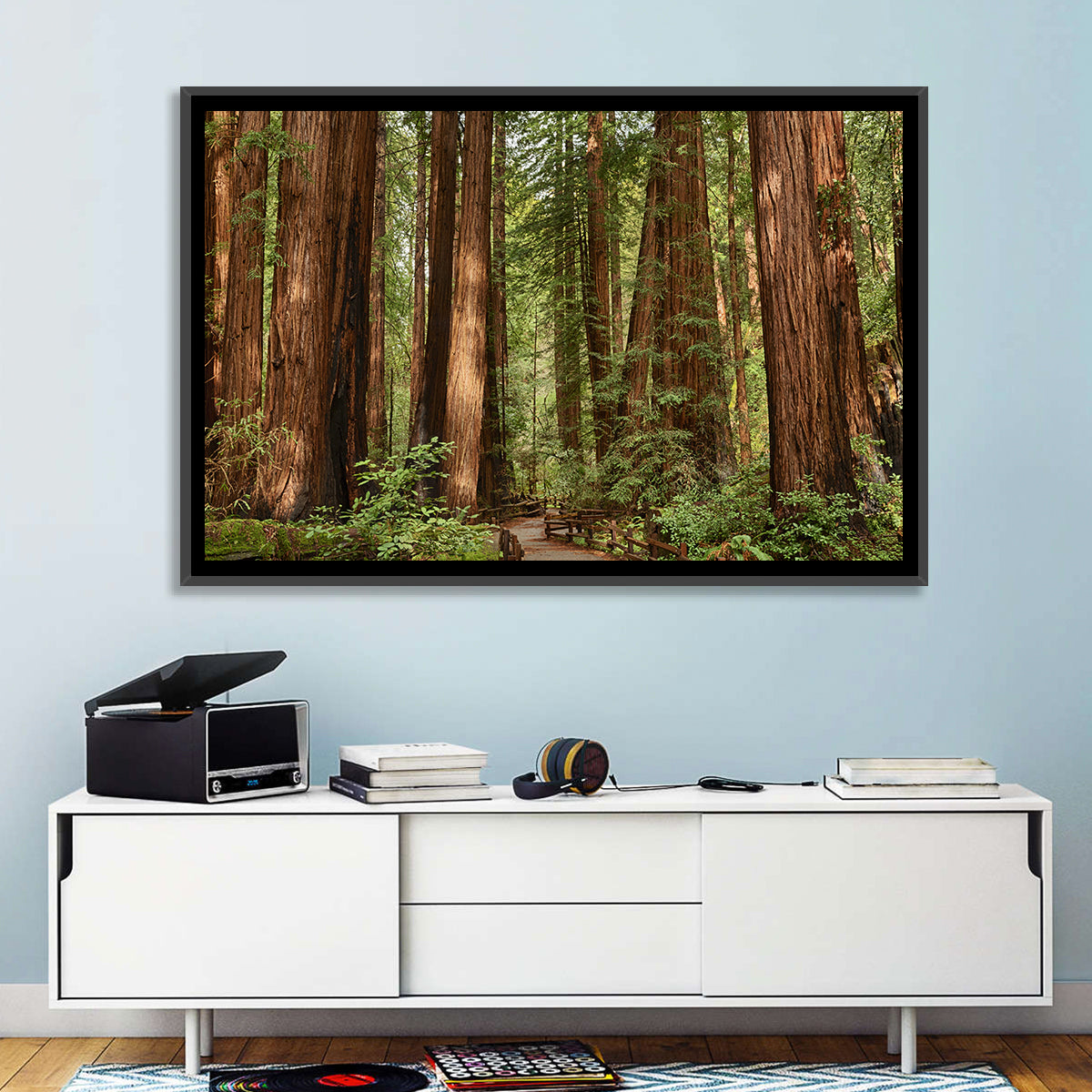 Muir Woods Redwood Trail Wall Art