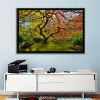 Gnarled Japanese Maple by Garden Pond Wall Art