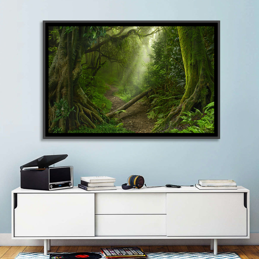 Moss-covered Rainforest Path Wall Art