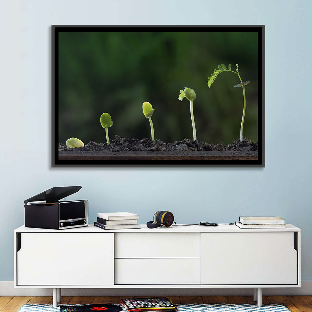 Five-stage Plant Growth Wall Art