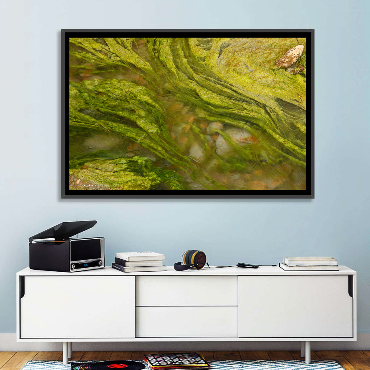 Macro Algae Stream Wall Art in a room, landscape