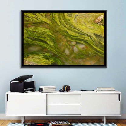 Marine Fungi Wall Art