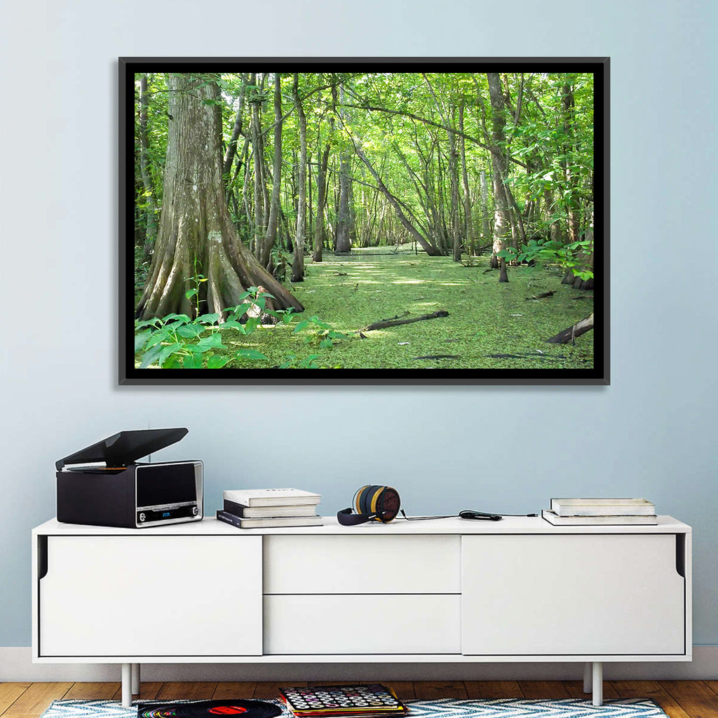Summer Cypress Bayou, Louisiana Wall Art