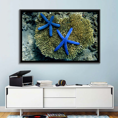 Blue Starfish Wall Art