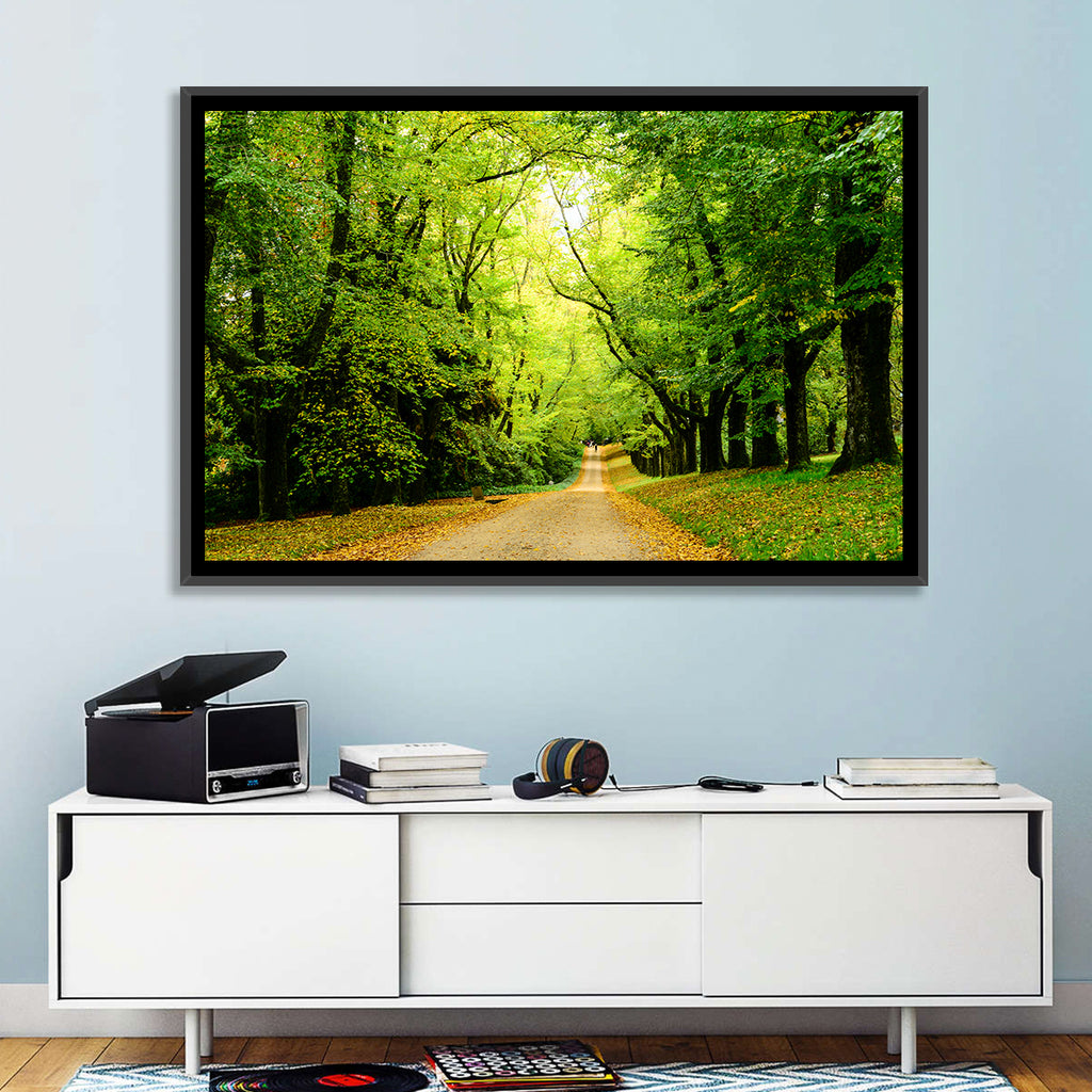 Sunlit Forest Pathway Wall Art