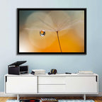 Dandelion Seed with Droplet Wall Art