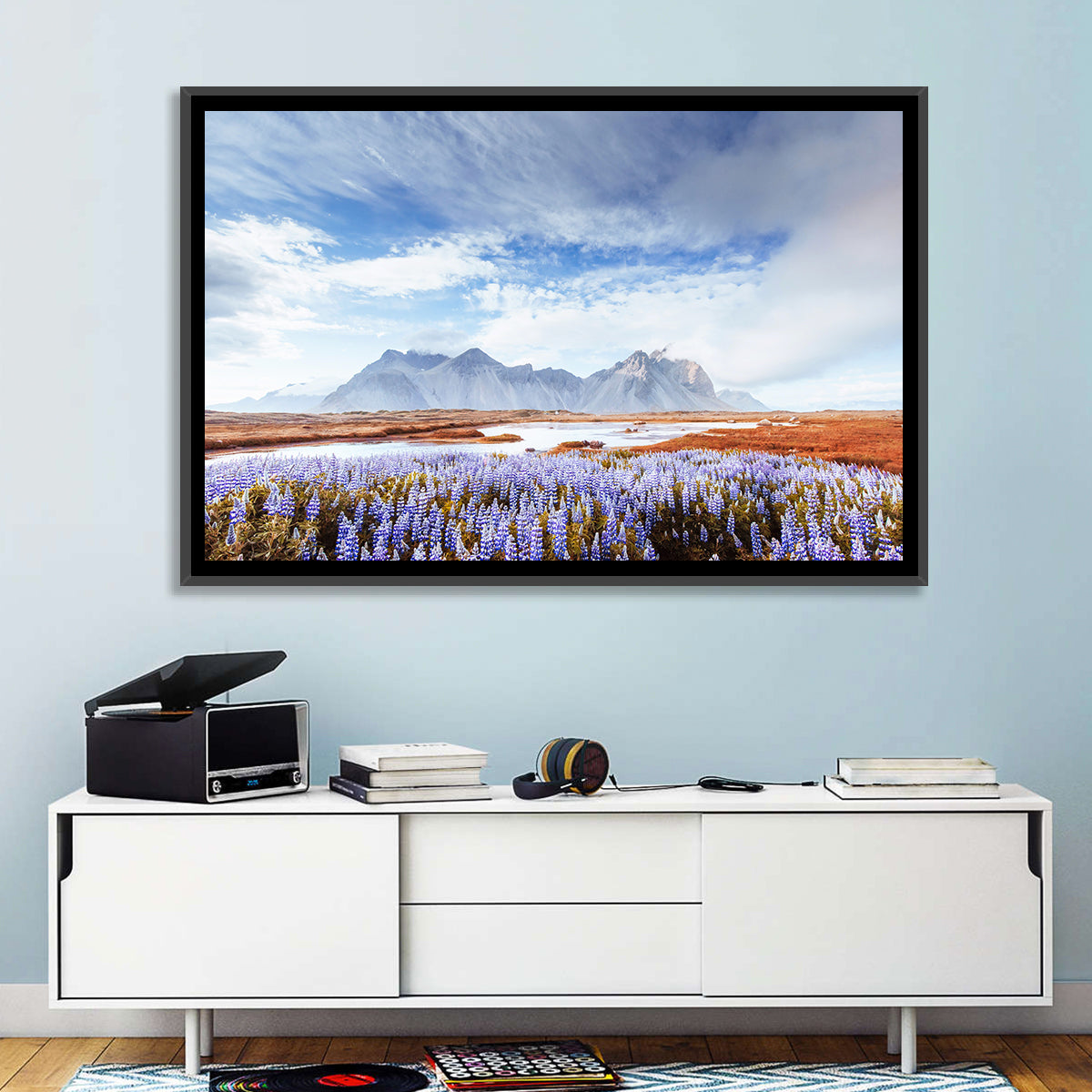 Lupine Fields at Vestrahorn Wall Art in a room, landscape