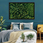 Aerial Conifer Canopy Wall Art