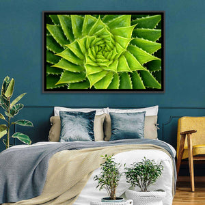 Spiral Aloe Wall Art