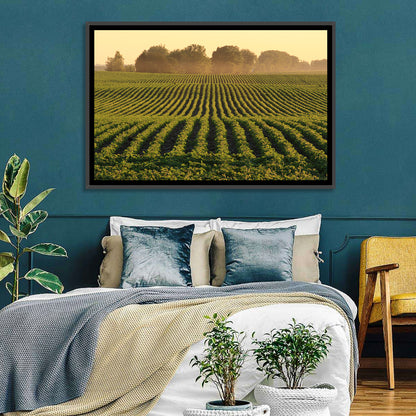 Misty Soybean Field Wall Art