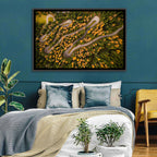 Aerial Curvy Forest Road Wall Art