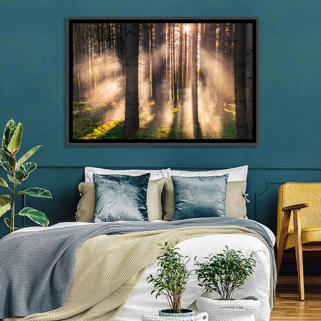 Sunrise Through Misty Forest Wall Art