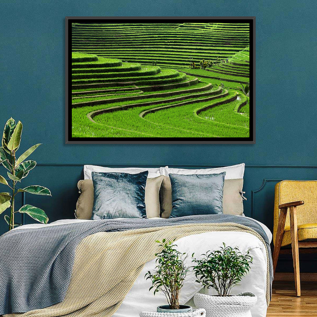 Lush Rice Terraces Wall Art