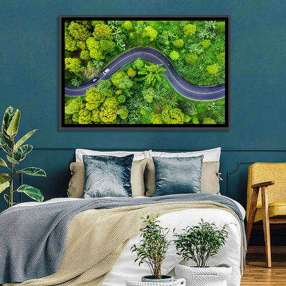 Summer Forest Road Aerial Wall Art