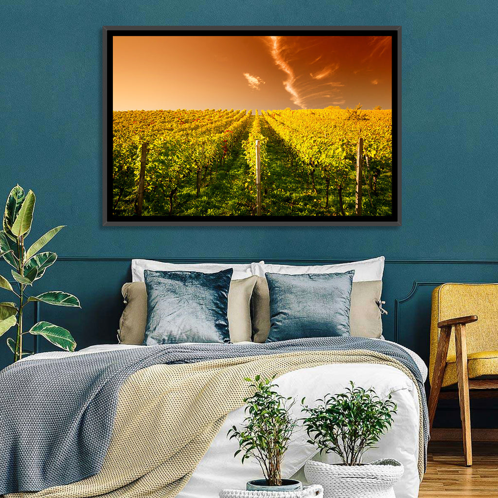 Golden Vineyard Sunset Wall Art