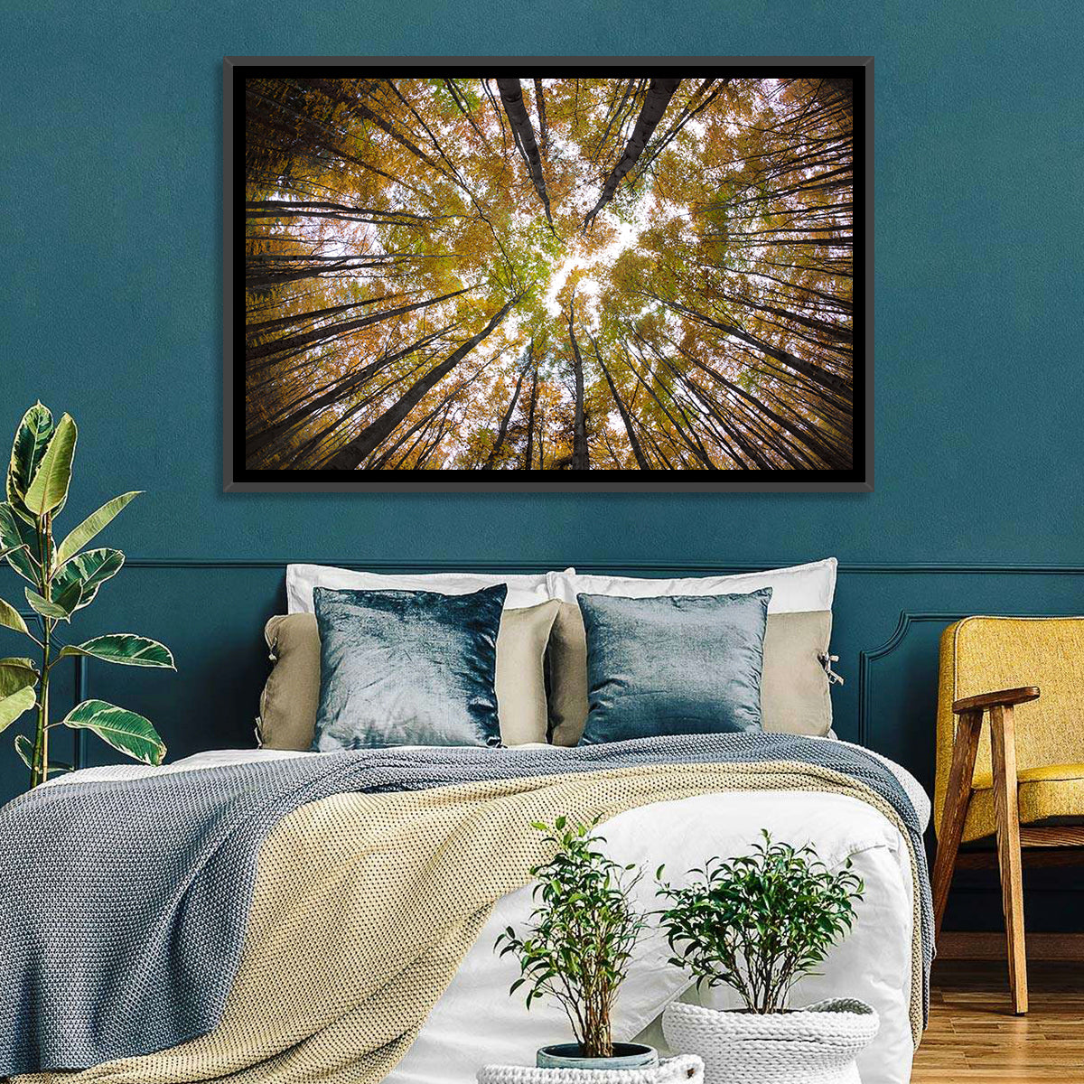 Autumn Forest Canopy Looking Up Wall Art in a room, landscape