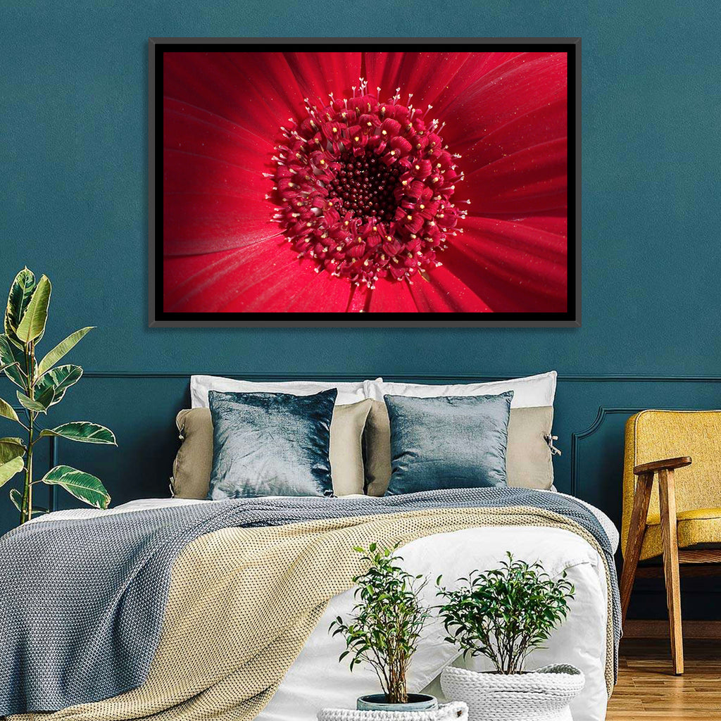 Red Gerbera Daisy Macro Close Up Wall Art
