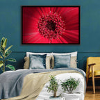 Red Gerbera Daisy Macro Close Up Wall Art