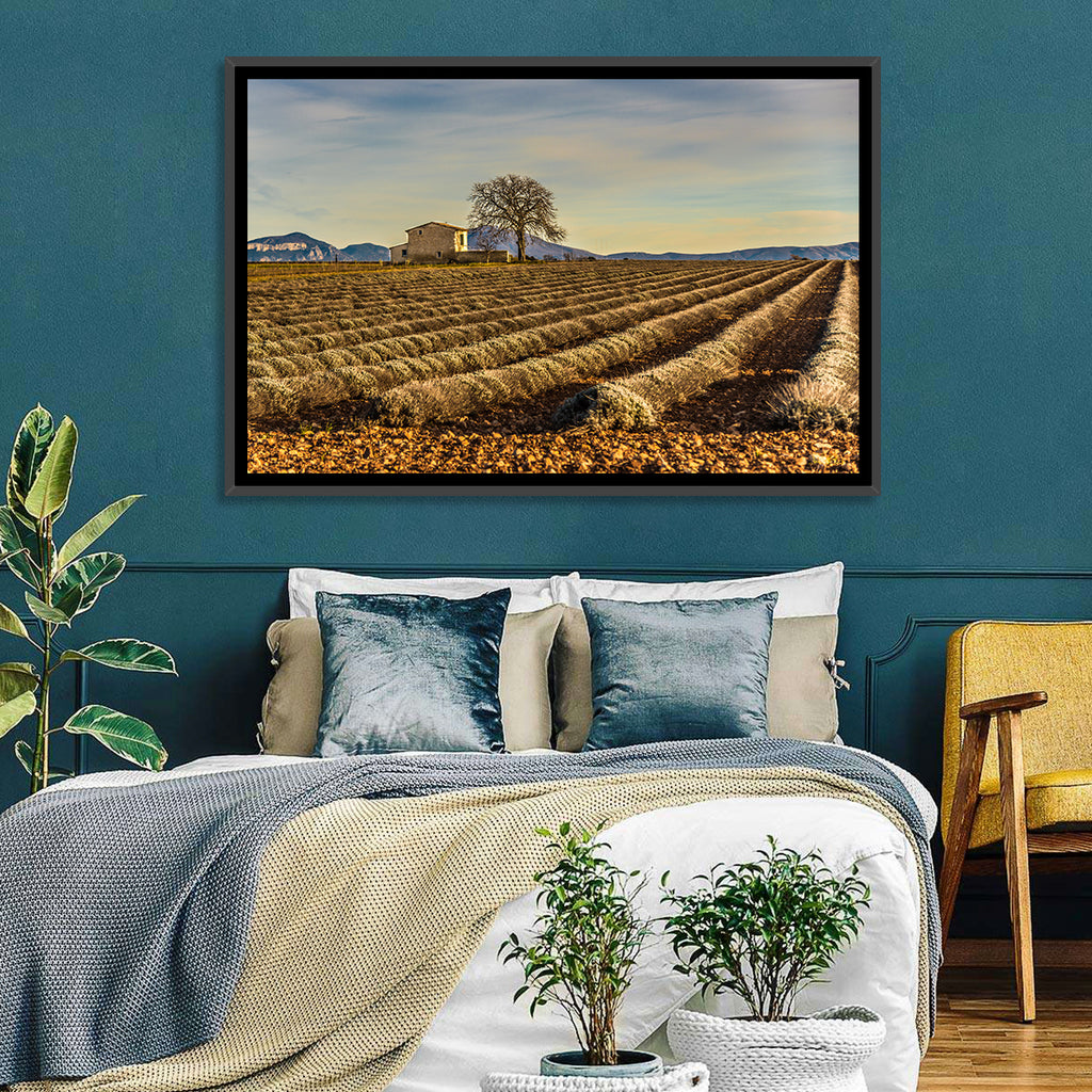 Rustic Provence Lavender Rows at Golden Hour Wall Art
