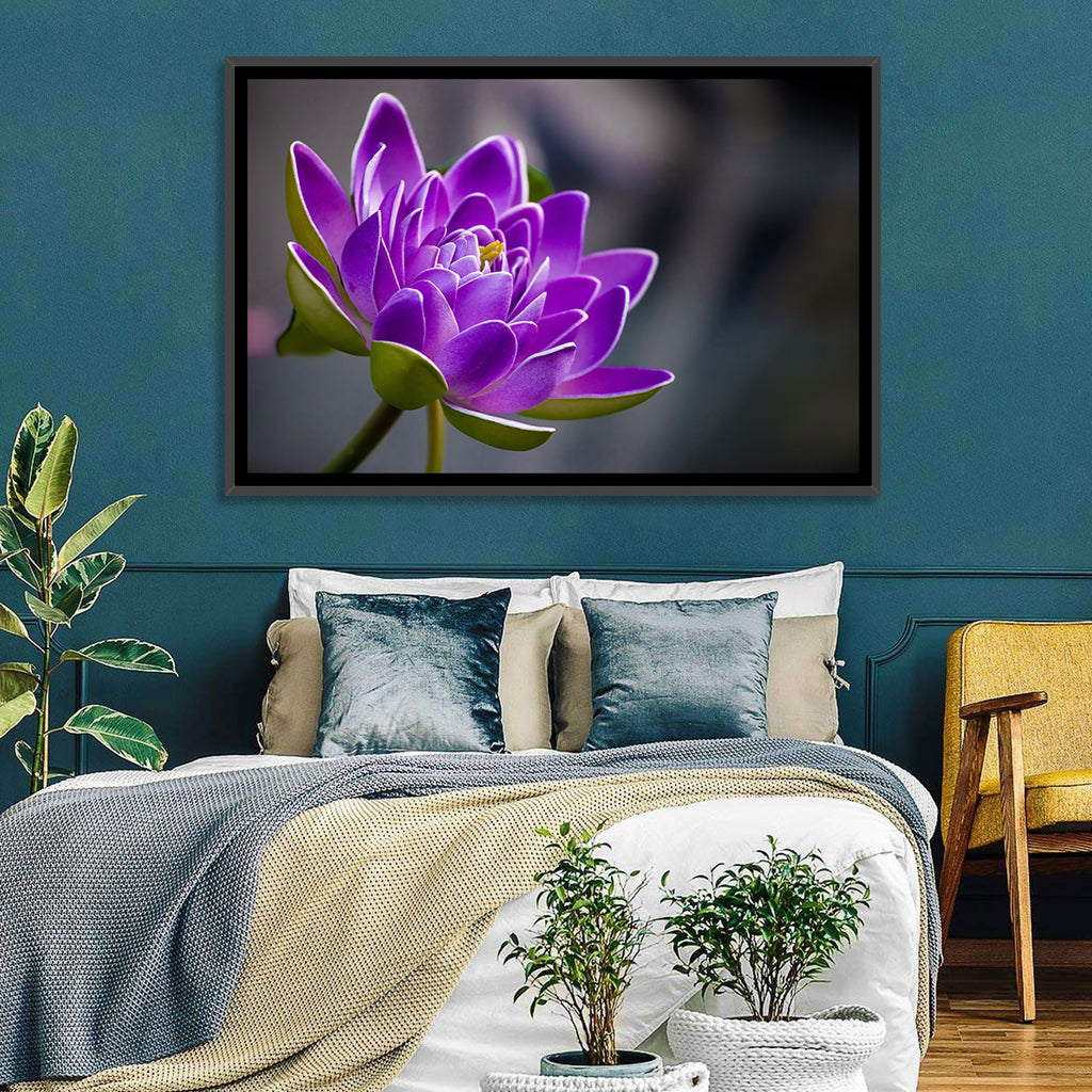 Purple Water Lily Close-up Wall Art