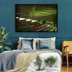 Lush Rice Terraces Wall Art