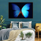 Blue Butterfly Macro Study Wall Art