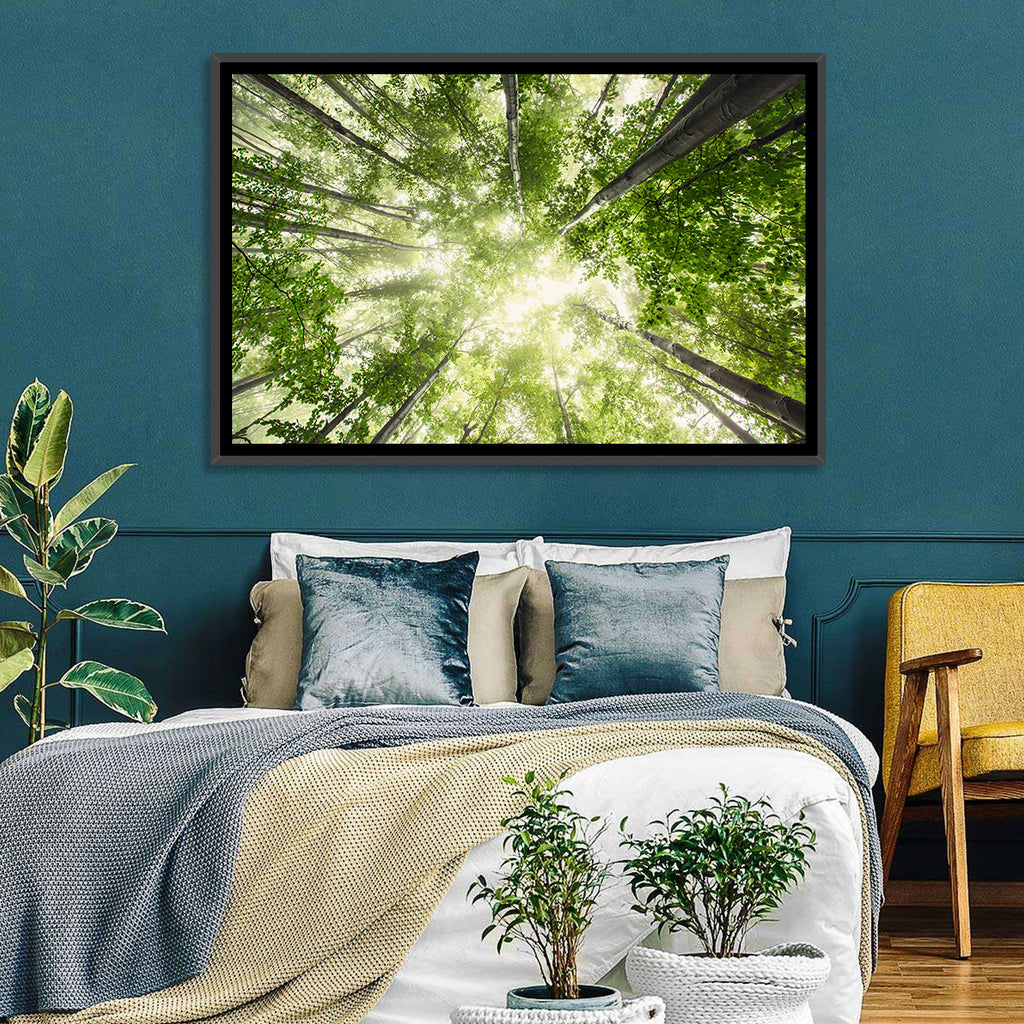 Spring Canopy in Morning Mist Wall Art