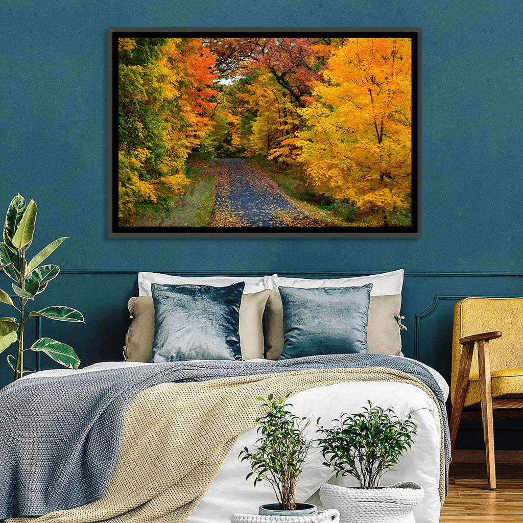 Autumn Road Through Wisconsin Park Wall Art