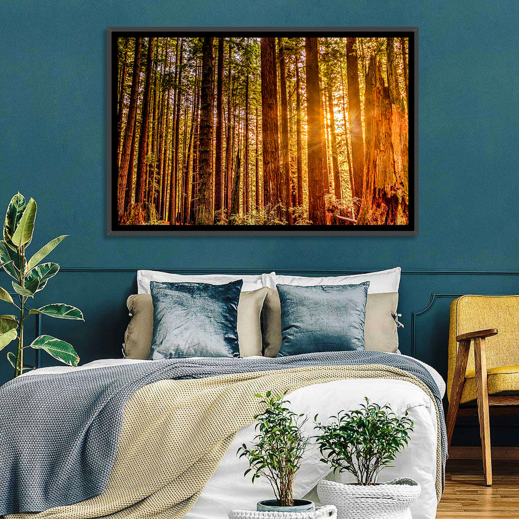 Golden Hour Redwood Sunburst Wall Art