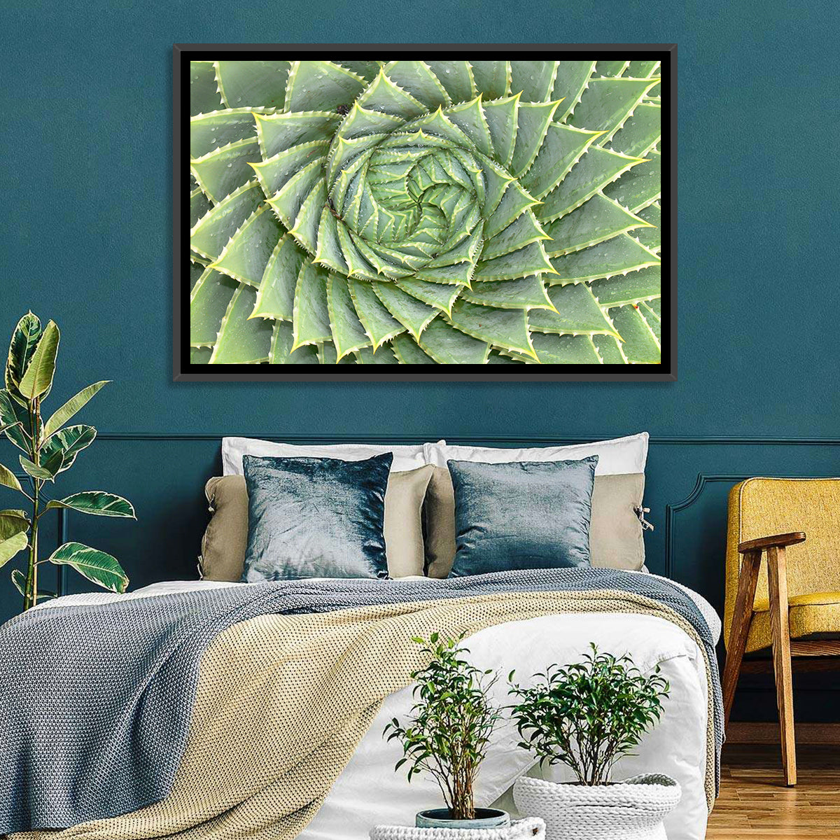Spiral Aloe Close-up Wall Art in a room, landscape