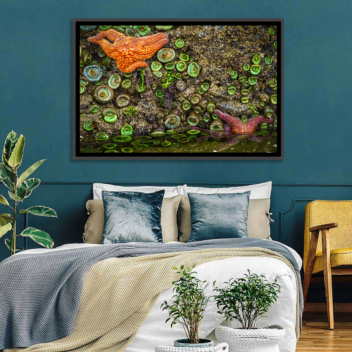 Orange Starfish Tide Pool Wall Art in a room, landscape