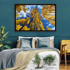 Golden Aspen Canopy View Wall Art