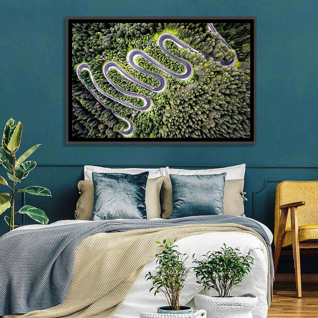 Serpentine Mountain Road Wall Art