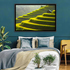 Golden Rice Terraces Wall Art