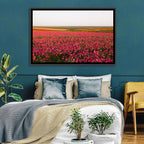 Pink Ranunculus Flower Field Wall Art