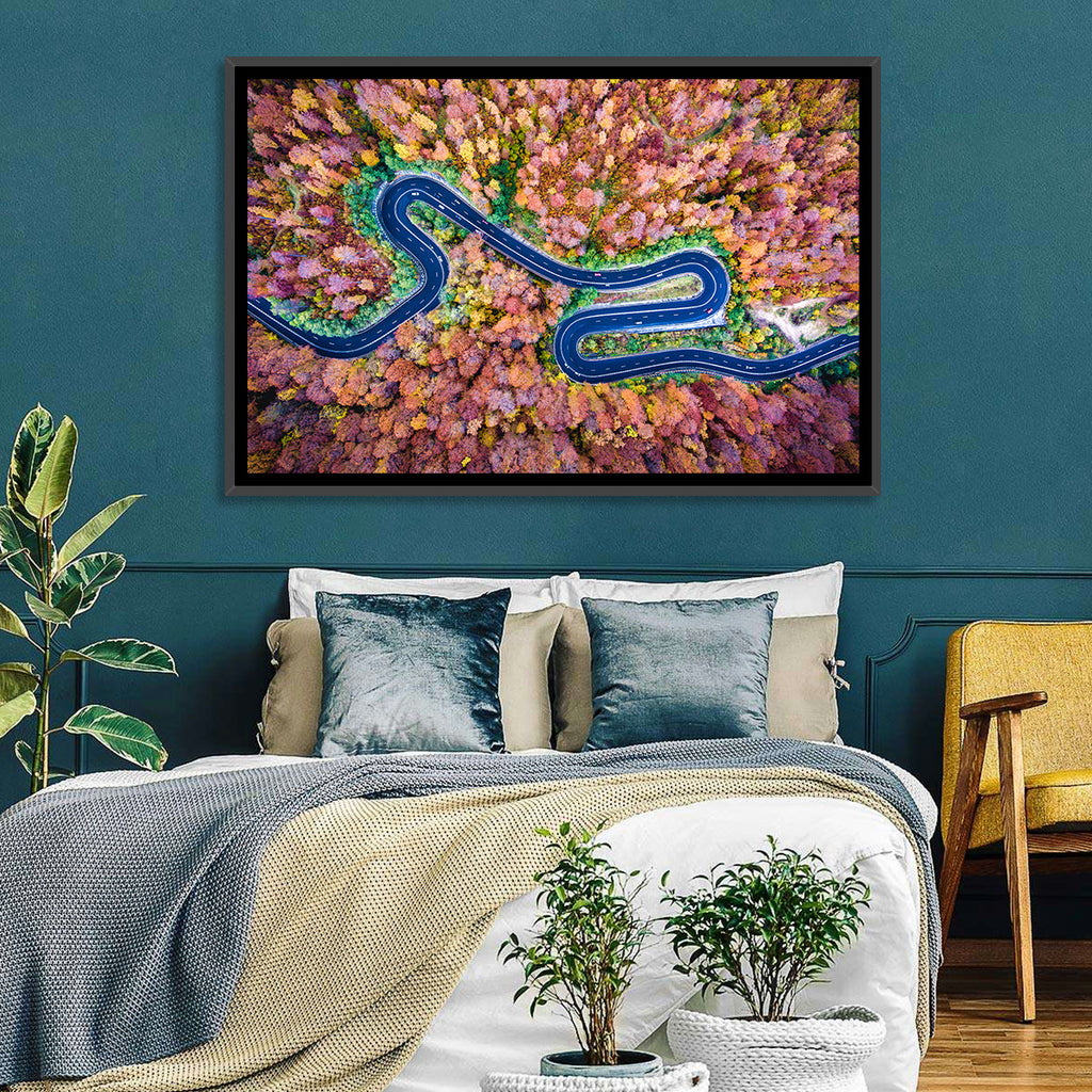 Aerial Winding Road Wall Art