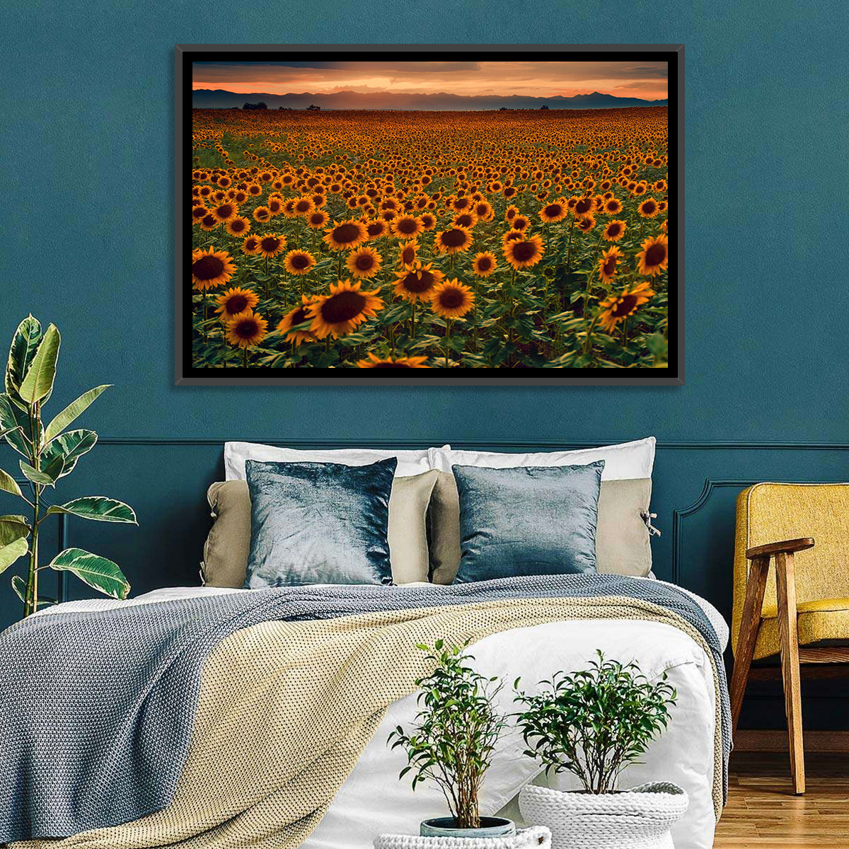 Colorado Sunflower Field at Sunset Wall Art in a room, landscape