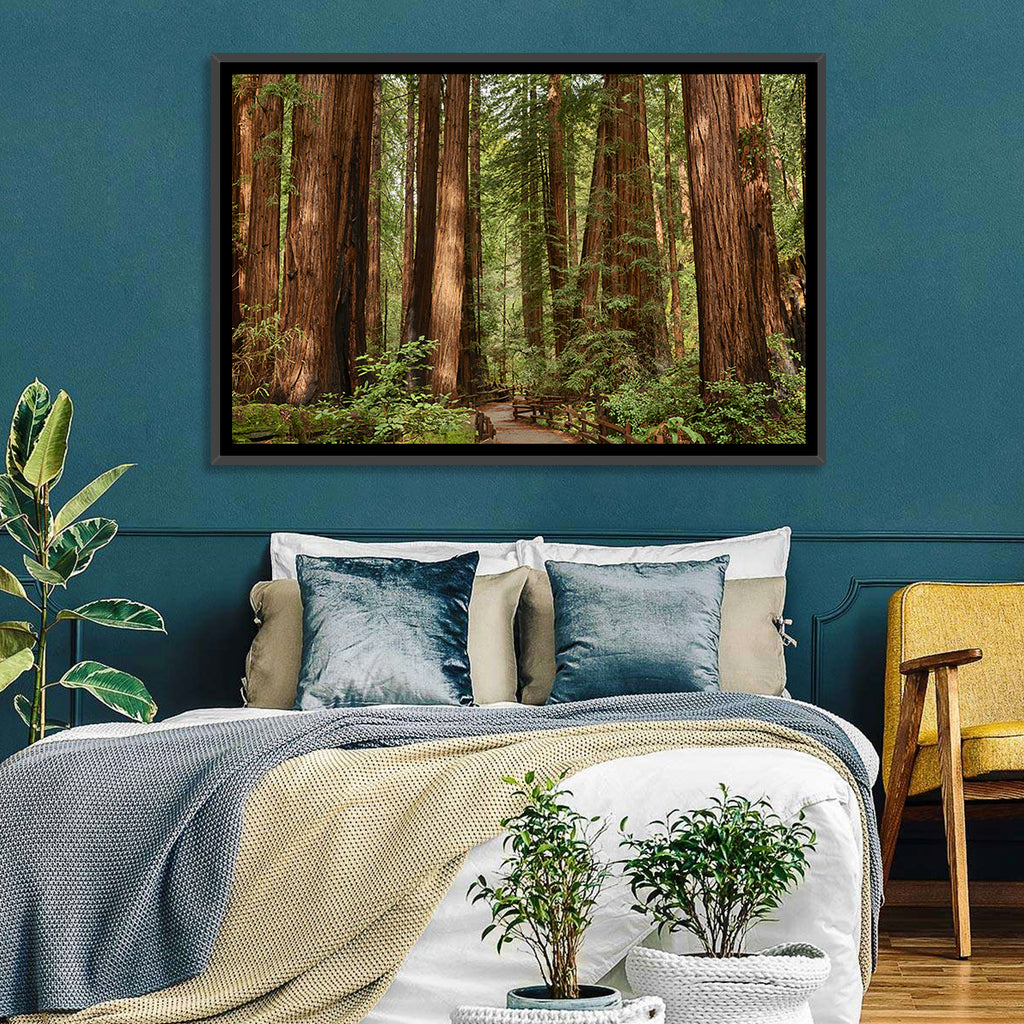 Muir Woods Redwood Trail Wall Art