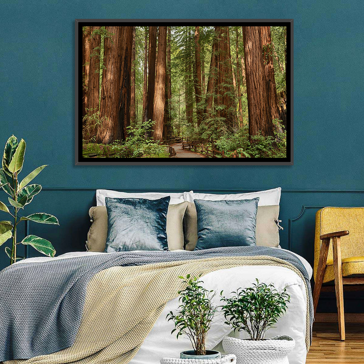 Muir Woods Redwood Trail Wall Art in a room, landscape