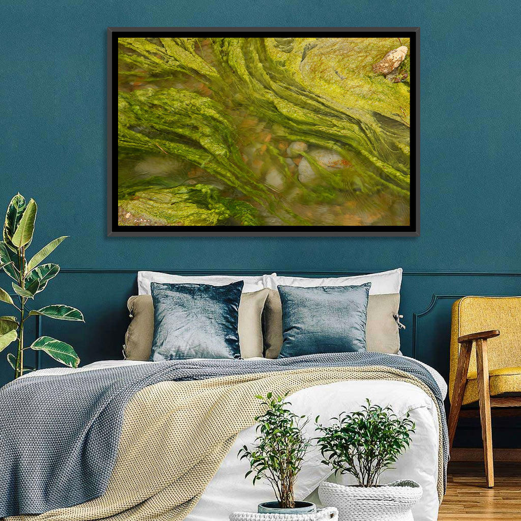 Macro Algae Stream Wall Art