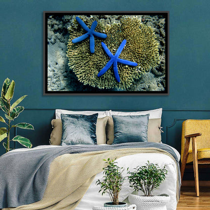 Blue Starfish Wall Art