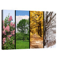 Four Seasons Tree Collage Wall Art