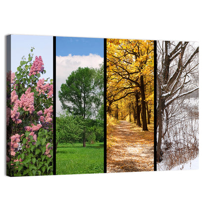 Four Seasons Trees Wall Art